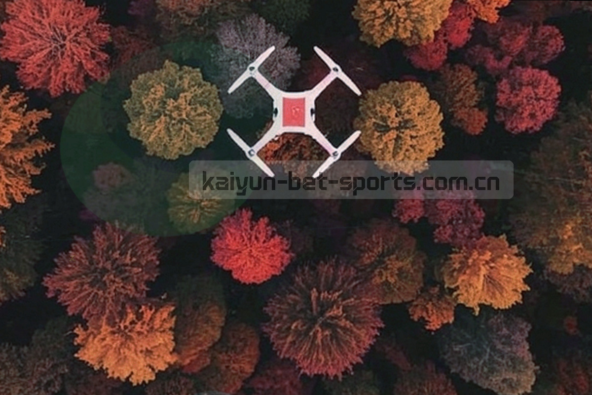 由三个节点与折线箭头组成的排查路径抽象图，无文字细节
